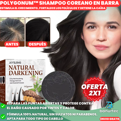 Oferta Especial 2x1: Polygonum™ Shampoo Coreano Revitaliza, Promueve el Crecimiento del cabello