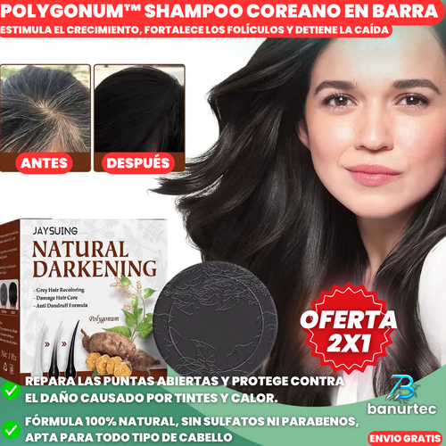 Oferta Especial 2x1: Polygonum™ Shampoo Coreano Revitaliza, Promueve el Crecimiento del cabello