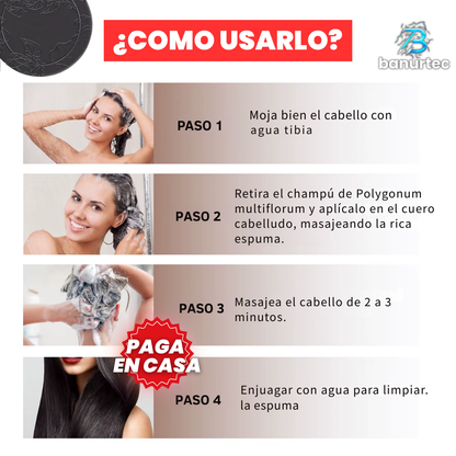 Oferta Especial 2x1: Polygonum™ Shampoo Coreano Revitaliza, Promueve el Crecimiento del cabello